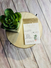 Load image into Gallery viewer, Self Love Sticker Bundle